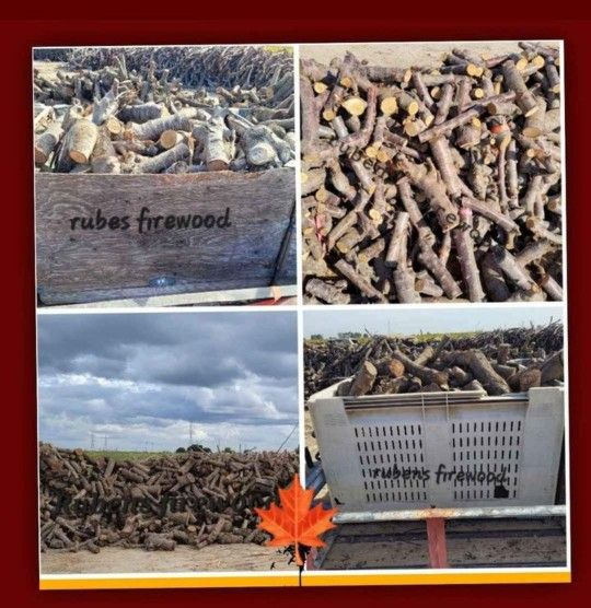 Firewood