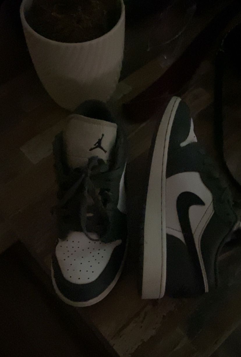 Nike x Jordan dunks