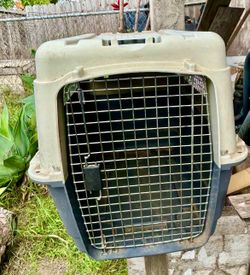Large kennel