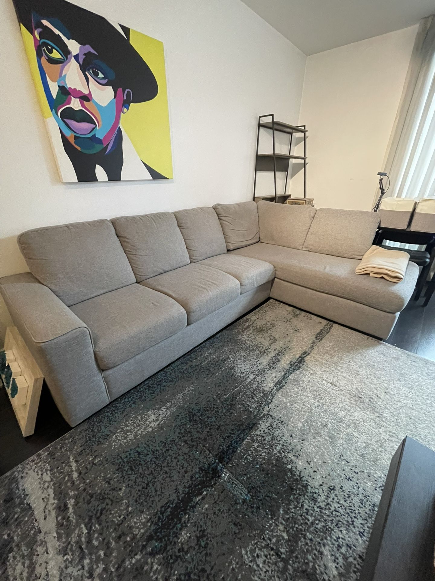 Sectional  Couch From Living spaces MUST GO