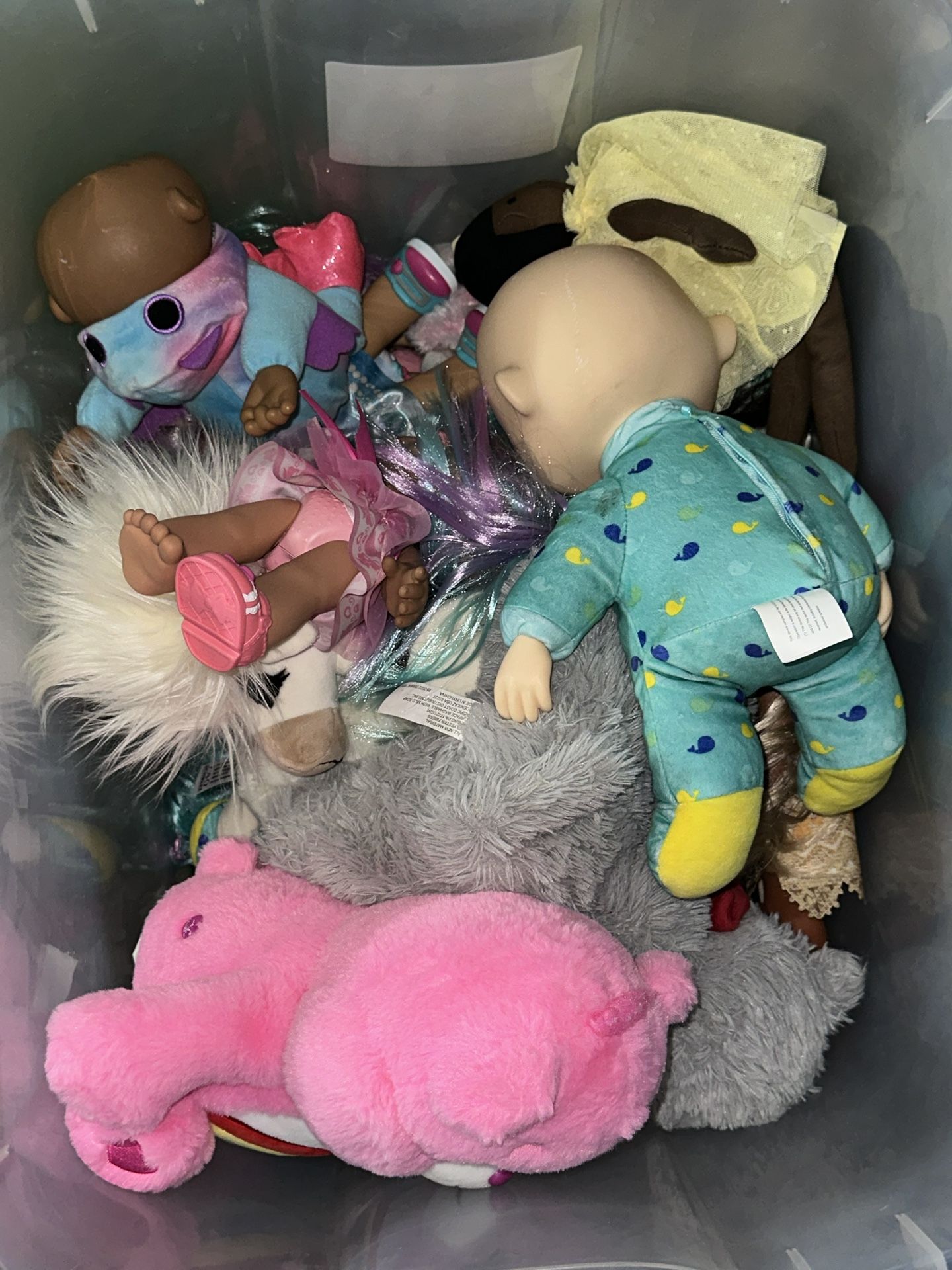 Kids Toys 