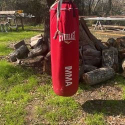 Punching Bag 