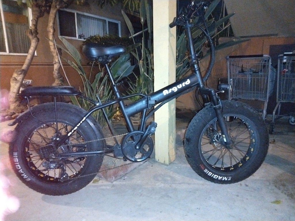 Asgurd Foldable E Bike