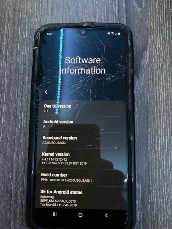 Samsung Galaxy A20 (Cracked Screen)