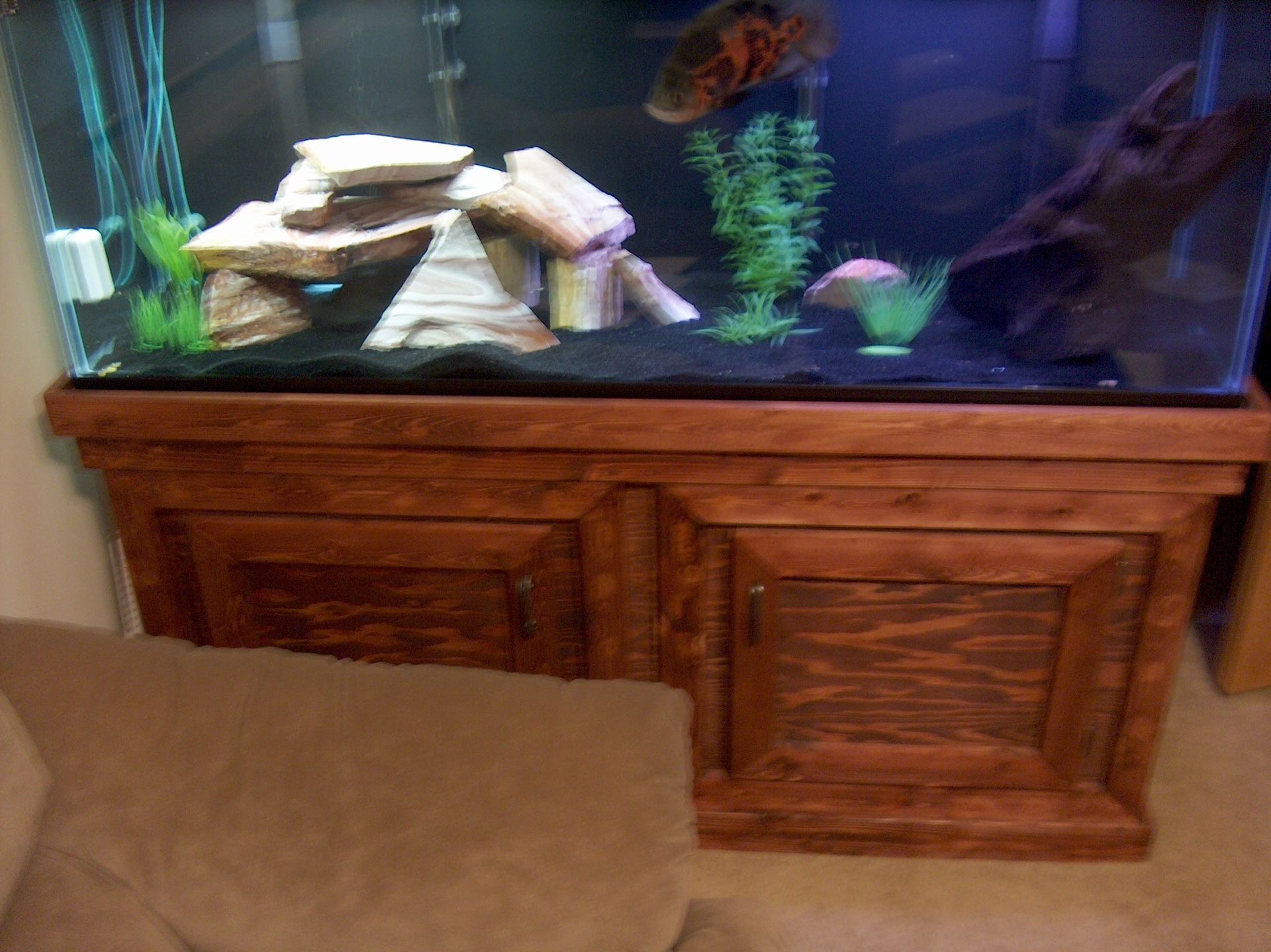 120 Gallon Tank and Stand