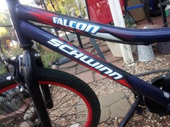 Schwinn cheap falcon 20