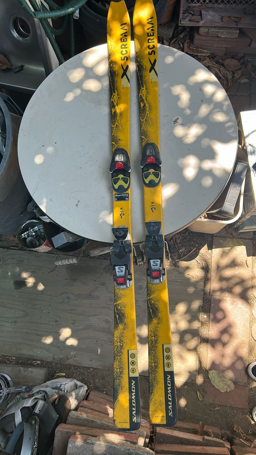 Salomon Xscream skis
