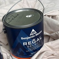 White Dove Paint from Benjamin Moore