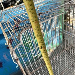 bird cage 
