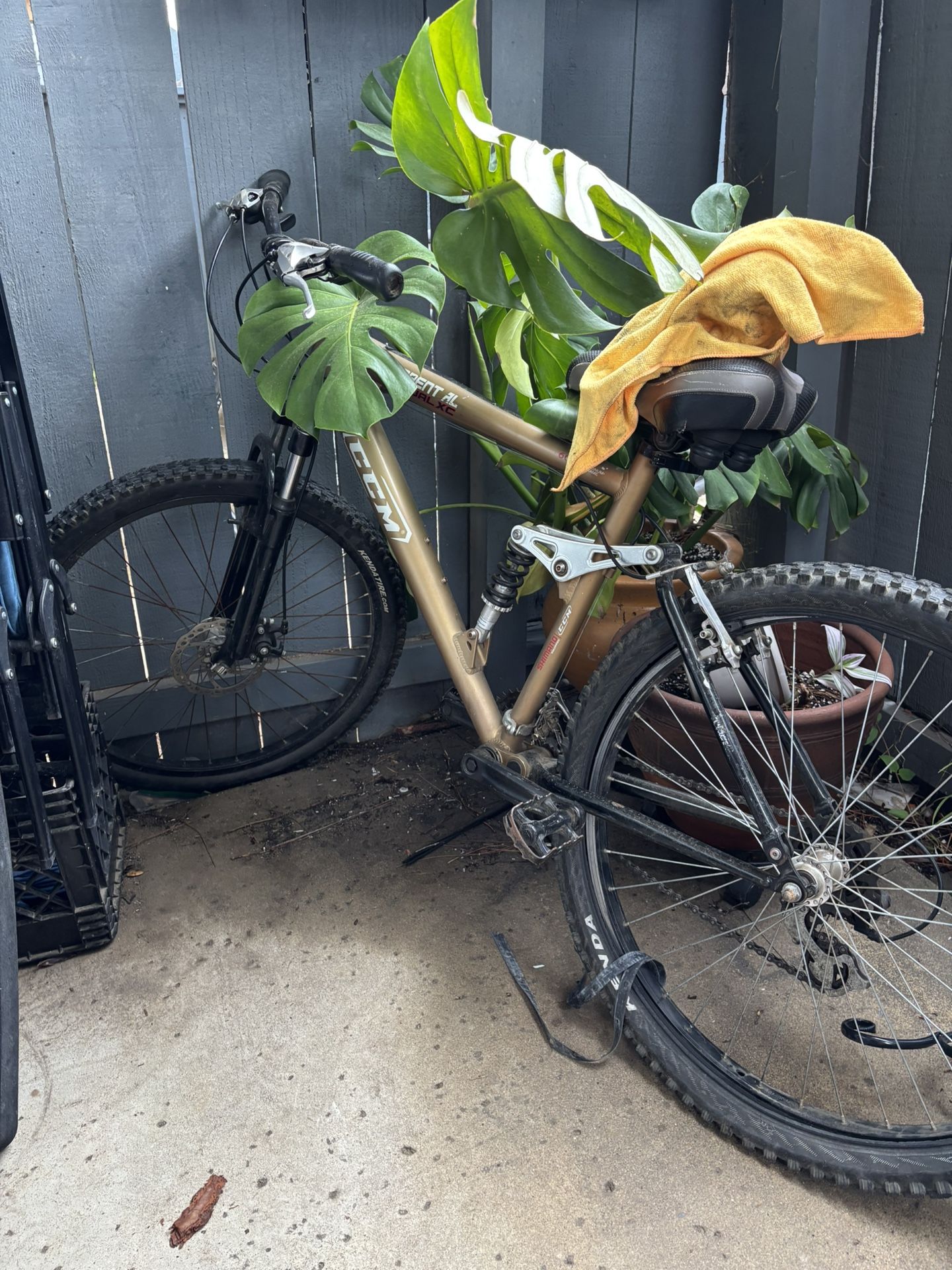 Shimano Ccm Mountain Bike 
