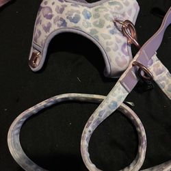 Top Paw Leash And Harness