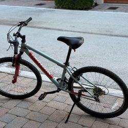 Nishiki Boys Pueblo 24" Mountain Bike