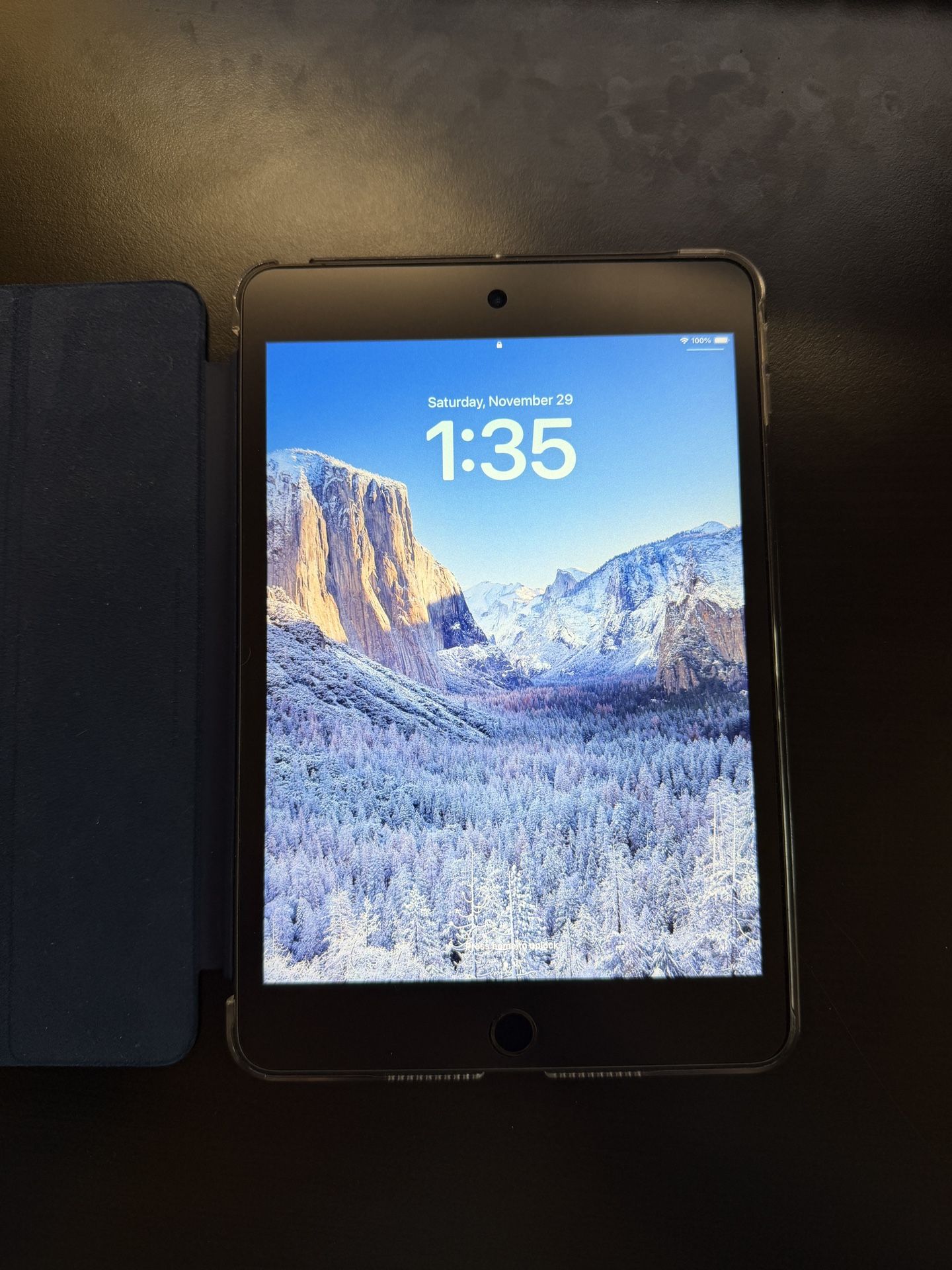 iPad Mini (5th gen WiFi) (256GB) 