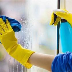 Window Cleaning