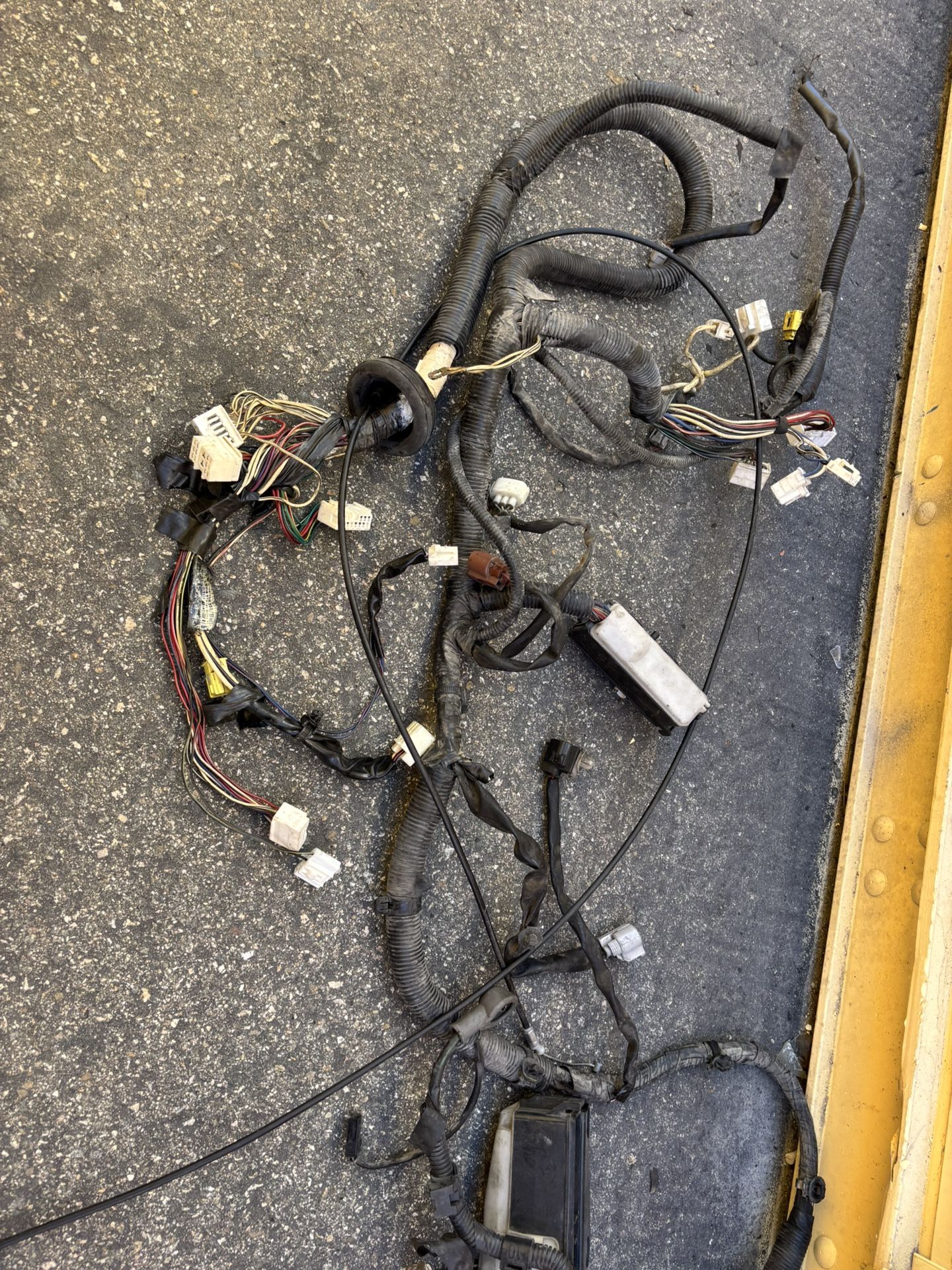 2001/2002 Corolla Electrical Harness