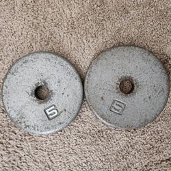 10lb Weights 