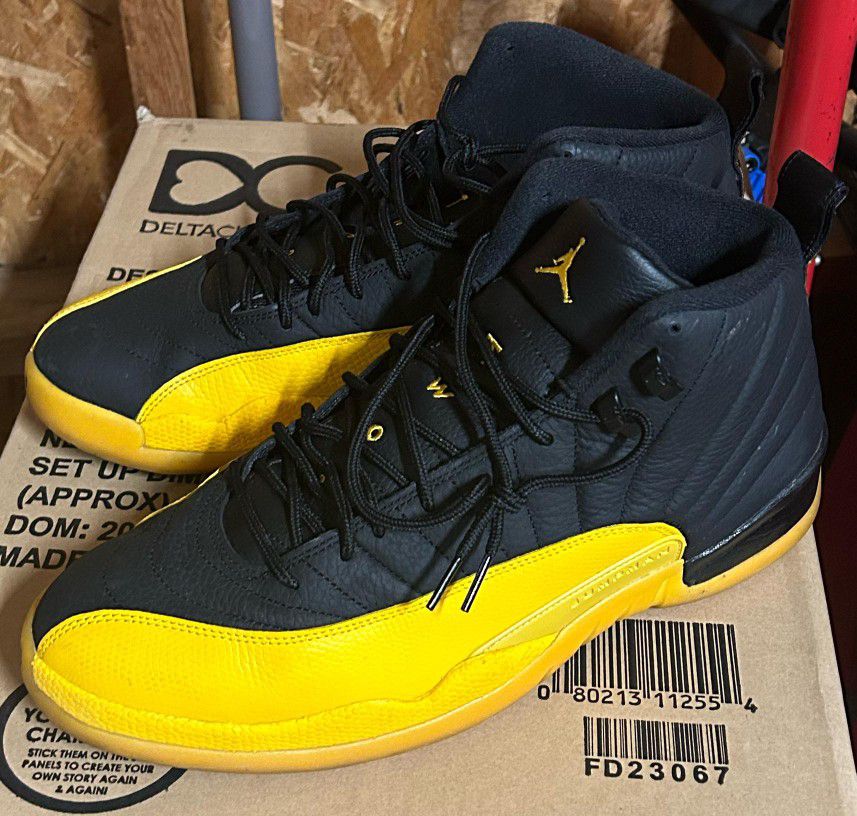 Yellow And Black Jordan 12s 