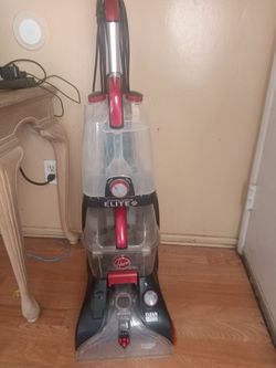 Pet carpet cleaner