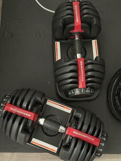 Bowflex Dumbbells