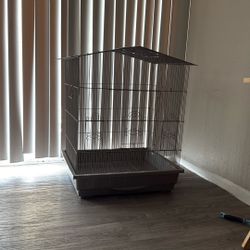 Conure Bird Habitat