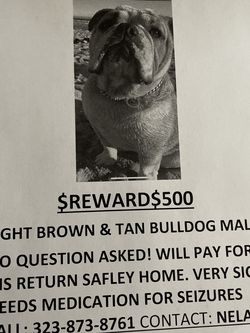 Reward Boyle Heights