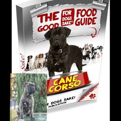 Cane Corso BOOK 📕 