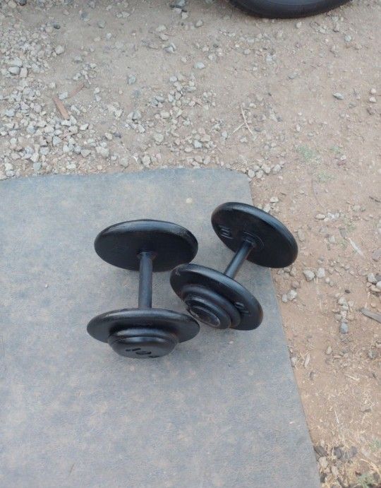 30lb Dumbbells