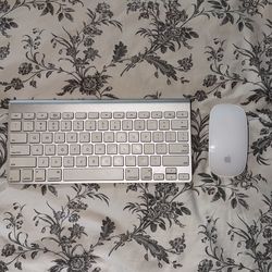Apple keyboard and mouse