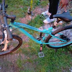 Diamond Back Mountain Bike 
