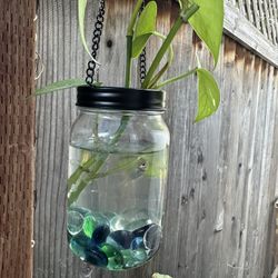 Fish Plant Office Or House 