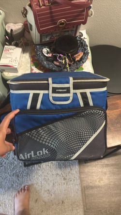 Cooler / lunch box