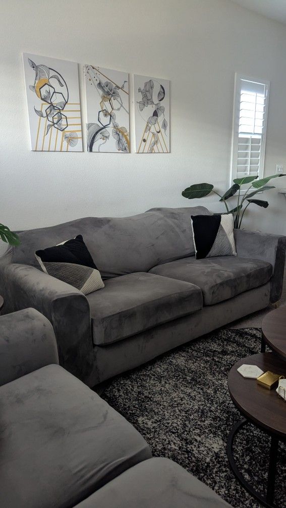 Sofa and Love Seat 2 Piece Set
