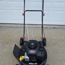 Briggs & Stratton E300 Gas Push Mower