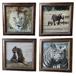Set of 4 Framed African Wildlife Prints – 20.5”