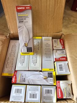 Satco Incandescent 25w Clear Blub  