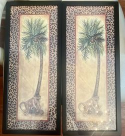 Palm Tree Pictures