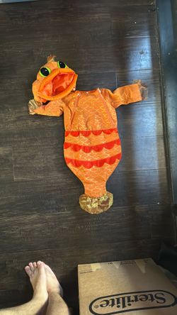 Fish Costume 