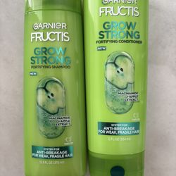 Garnier Fructis & Garnier Wholeblends 