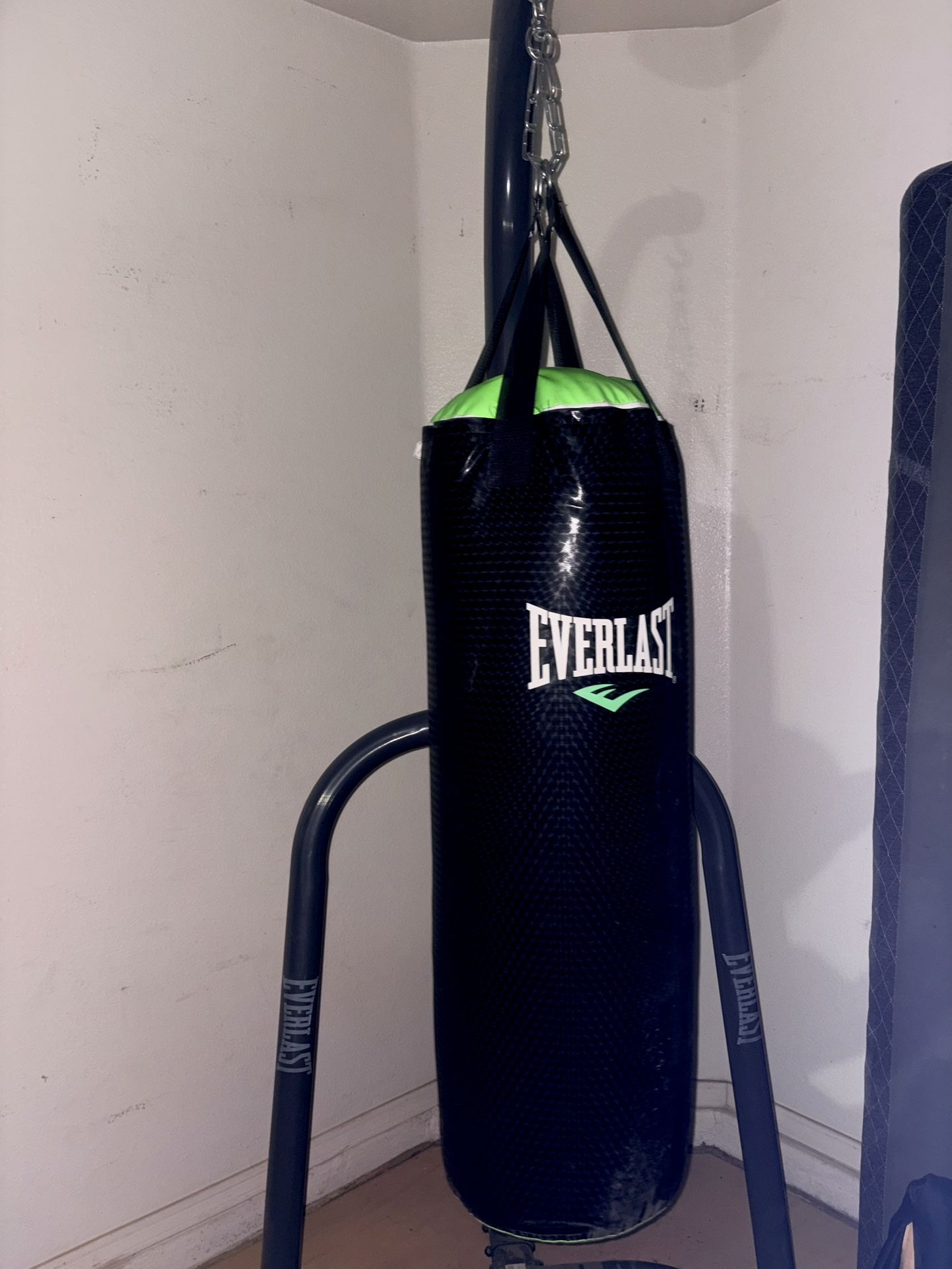 Everlast Punching Bag & Stand