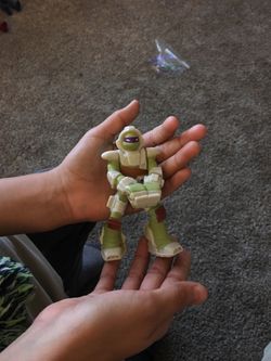 Ninja turtle toy