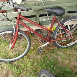 Ladies Bike