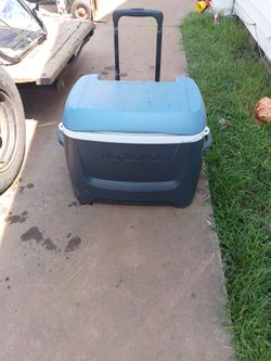 Igloo cooler