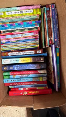 Large Lot of Children's Chapter Books