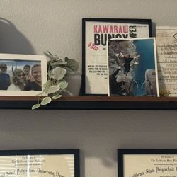 IKEA Wall Shelf (Fjallbo Series)