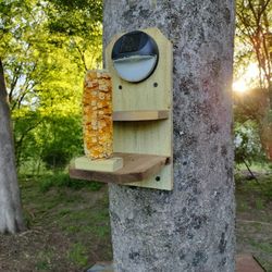 New Squirrel Feeder With Solar Light
