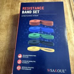 Wsakoue Resistant Band Set