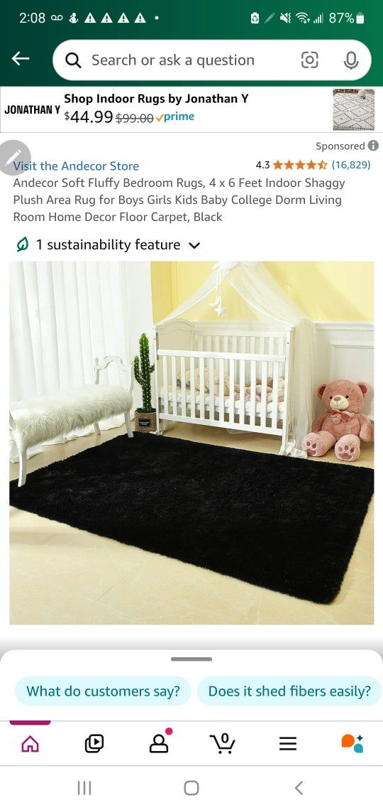 Andecor Soft Fluffy Bedroom Rugs, 4 x 6 Feet Indoor Shaggy Plush Area Rug for Boys Girls Kids Baby College Dorm Living Room Home Decor Floor Carpet, B