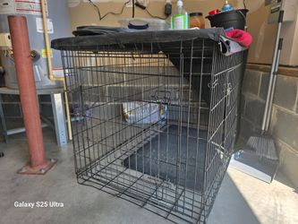 Dog products