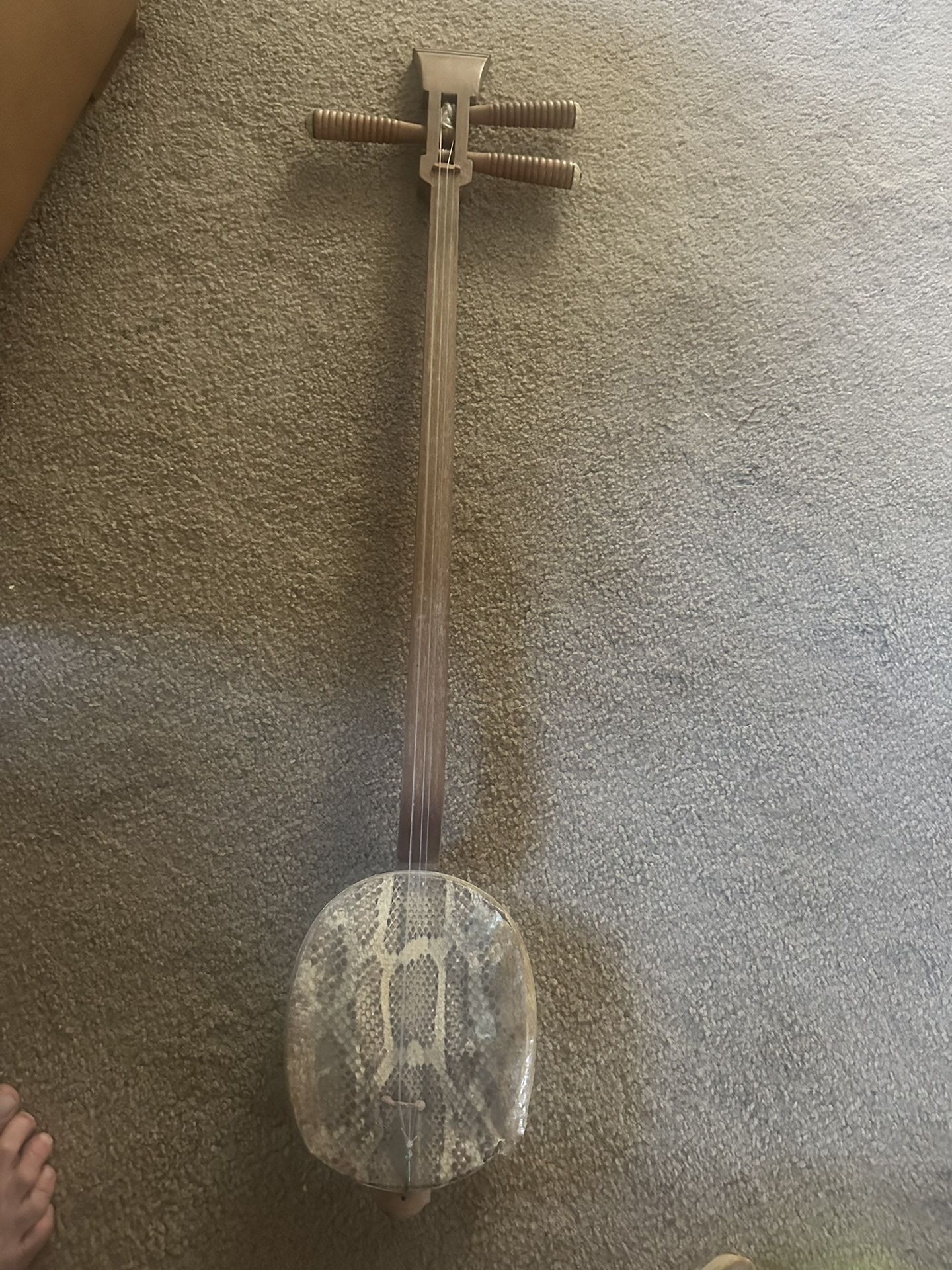 Snake Skin Vintage Sanxian (Chinese Banjo)