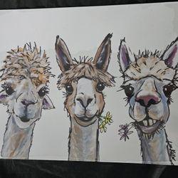 3 LLAMAS TIN SIGN